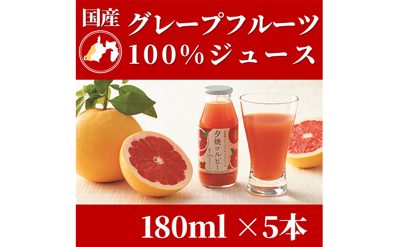 ＜5月中旬以降発送＞浜松市産グレープフルーツ100%ストレー