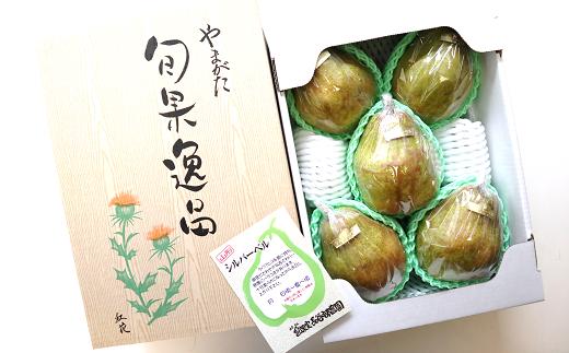 
            【令和6年産先行予約】 特大玉 シルバーベル 約4kg (5玉) 《令和6年12月中旬～発送》 『長谷部農園』 洋梨 果物 フルーツ 産地直送 生産農家直送 山形県 南陽市 [1163]
          