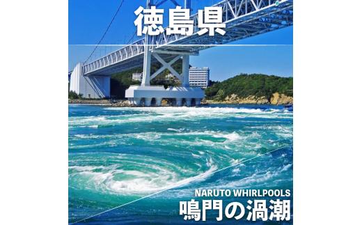 なると金時 極干 2袋 干し芋 ほしいも 干しいも お菓子 おやつ さつまいも さつま芋 鳴門金時 国産 徳島県 小分け スイーツ ランキング 人気 常温 常温保存