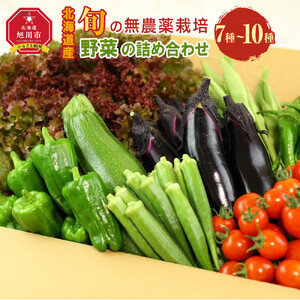 【2026先行予約】【地元雑誌で紹介】【北海道旭川産】旬の野菜詰め合わせ[7～10種類](栽培期間中農薬不使用・化学肥料不使用) | 野菜詰め合わせ_02944