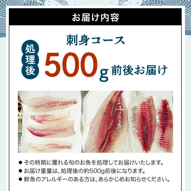 S121-003A_刺身コース
