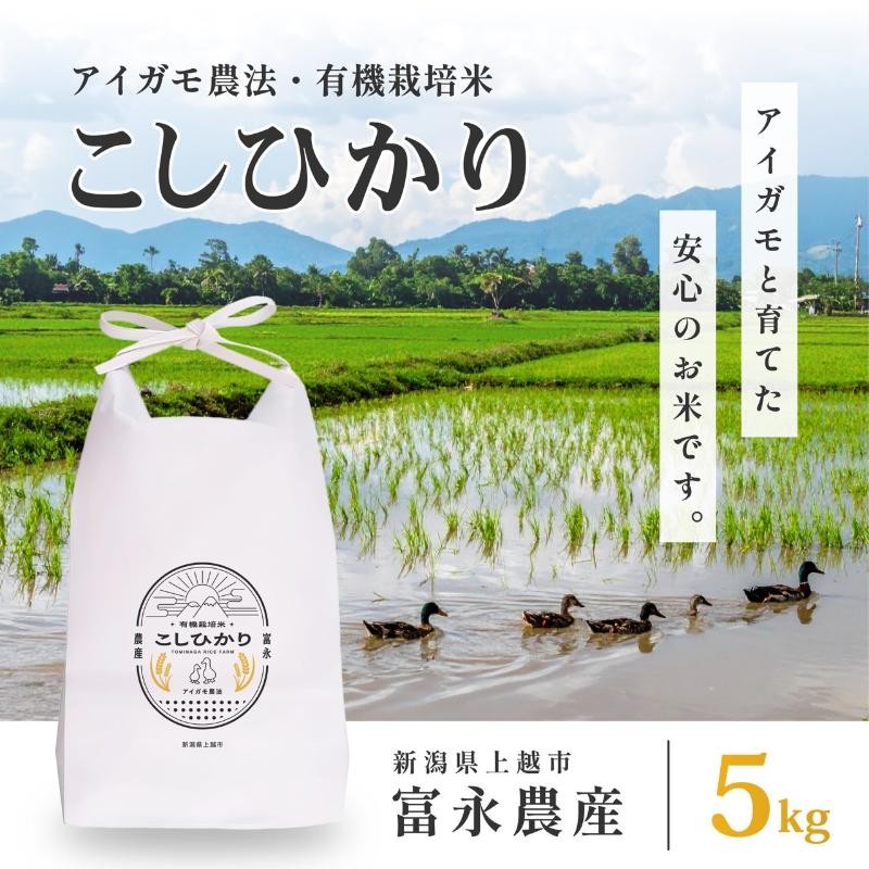 
            【10月上旬より順次出荷】 令和7年産 米 JAS有機栽培米 アイガモ農法 こしひかり 白米 5kg  お米 コメ コシヒカリ
          