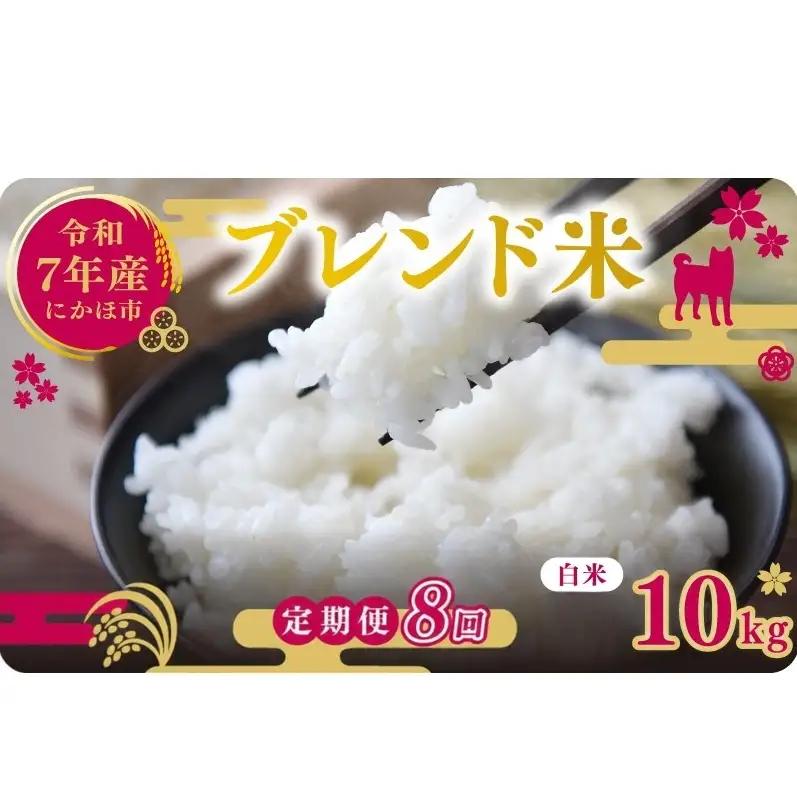 【定期便8か月】白米 ブレンド米 10kg  令和7年度産 白米