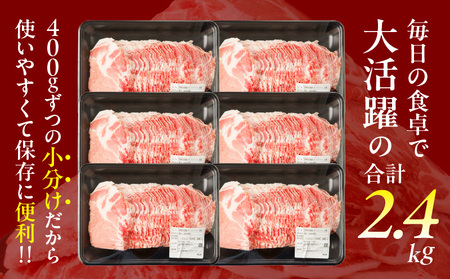 宮崎県産豚肩ローススライス計2.4kg 肉 豚 豚肉 おかず 国産 _T009-008【人気  肉 ギフト 肉 食品 お肉 しゃぶしゃぶ  肉 贈り物  肉  お土産  肉 送料無料 肉 プレゼント 