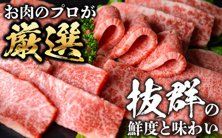 【全12回定期便】【訳あり】おおいた豊後牛 焼肉 切り落とし 1kg(500g×2P) 日田市 / 株式会社MEAT PLUS　牛 うし 黒毛和牛 和牛 豊後牛[AREI136]