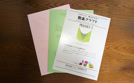数楽クラフトセット PEGASUSI 波紋 2つの2変数関数のセット 数楽アート 数楽クラフト 組み立て 数学 数式の美しさ 馬の鞍 三角関数 アート オブジェ 立体グラフ 多変数関数 2変数関数 ユ