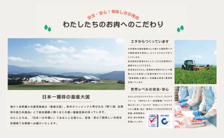【鹿児島県産】A5等級 黒毛和牛 霜降り肩ローススライス400g＆バラ焼肉400gセット 合計800g 焼肉 BBQ すき焼き お肉 小分け 冷凍 カミチク 南さつま市