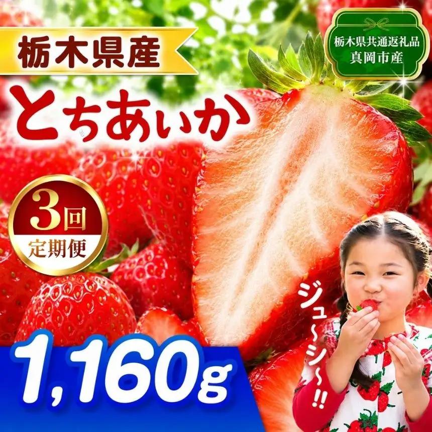 【栃木県共通返礼品】【先行予約】【定期3回】とちあいか 1160g | 栃木県 那珂川町 