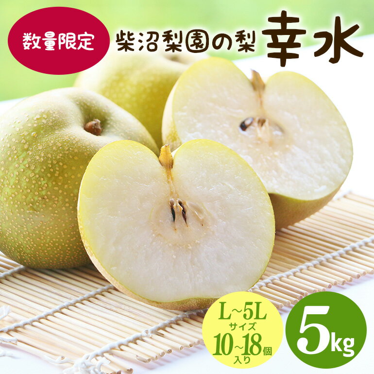 【ふるさと納税】【先行予約/8月上旬から発送】 柴沼梨園の梨 （幸水） 梨 5kg 10～18個入り L～5Lサイズ ナシ なし 国産 茨城 秋 旬 フルーツ 果物 数量限定 先行予約 旬の果物 くだもの サイズ 品種 幸水 産地 茨城県 くだもの 果肉 酸味 ギフト 贈答用 家庭用 送料無料