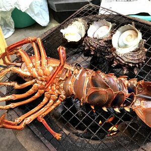 伊平屋島で獲れた海産物セット 松プラン(6～10品)【配送不可地域：離島】【1518233】