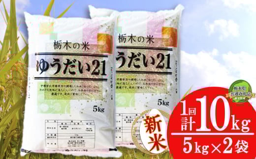 【栃木県共通返礼品】【先行予約】ゆうだい21 10kg（5kg×2袋） | 米 こめ コメ kome 白米 精米 お米 ゆうだい ユウダイ ﾕｳﾀﾞｲ 新米 栃木米 大粒 粘り 甘み お弁当 おにぎり 令和7年度米 令和7年度 2025年度米 2025年度 ブランド米 栃木県 特産品 送料無料 栃木県 下野市 しもつけ市