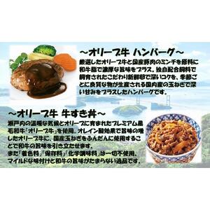 オリーブ牛100％肉汁ハンバーグ8枚(120g×8枚)セット