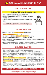 シャインマスカット 【2026年発送 先行予約】山梨県産シャインマスカット3kg フルーツ