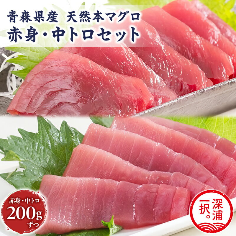 【ふるさと納税】天然 本マグロ 赤身 中トロ 2種セット 国産 本鮪 まぐろ マグロ クロマグロ 鮪 刺身 丼ぶり 寿司 海鮮 魚介 贅沢 お取り寄せ 詰め合わせ グルメ 産地直送 送料無料 冷凍 あおもり海山
