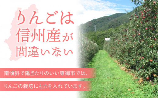 りんご「シナノスイート」3kg 長野県オリジナル品種｜JA信州うえだ東部地区営農課 東御市産  ※10月中旬～11月上旬頃お届け予定