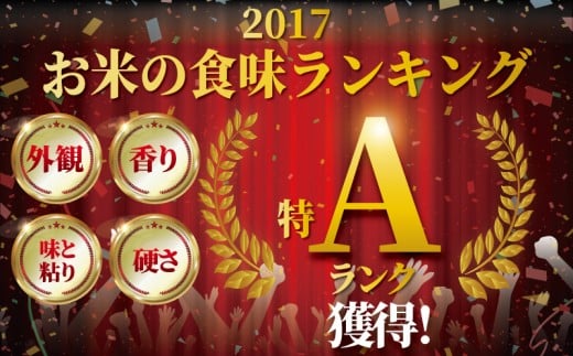 米 2年連続特 米 はるみ 5kg 令和7年度産新米