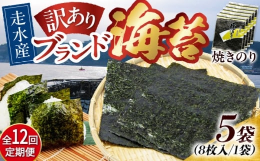【全12回定期便】【訳あり】焼海苔5袋（全形40枚）焼きのり 訳あり 海苔 のり ノリ 訳アリ 焼き海苔 走水海苔 横須賀【丸良水産】［AKAB117］