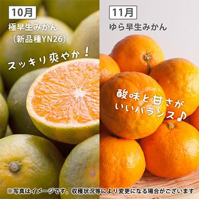 ふるさと納税 九度山町 【発送月固定定期便】季節の柑橘定期便B【フルーツ定期便】【和歌山県有田】全3回 |  | 02