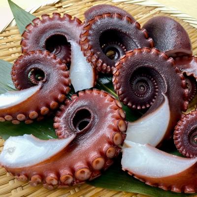 ふるさと納税 南あわじ市 【花光】タコ好きさん必見!淡路の島ダコ釜揚げ(切り落とし4〜5人前)【期間限定フレッシュ冷蔵便】 |  | 01