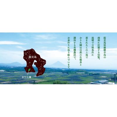 ふるさと納税 南九州市 おりた園特上深蒸し茶3本セット |  | 02