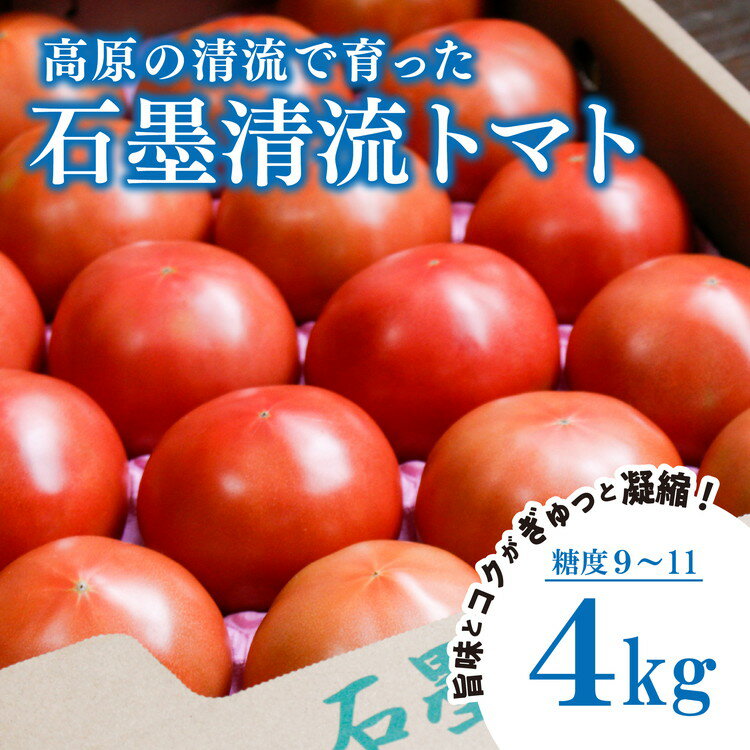 【ふるさと納税】【贈答用】石墨清流 トマト 4kg｜糖度9～11度 そのままでも 美味しい 久万高原町 トマト とまと 自然栽培 野菜 カレー トマトソース 濃縮 ヒナタ 安心 酸味 甘味 清流 料理 農家 旨み 新鮮 煮込み ※離島への配送不可 ※2026年7月下旬頃より順次発送予定