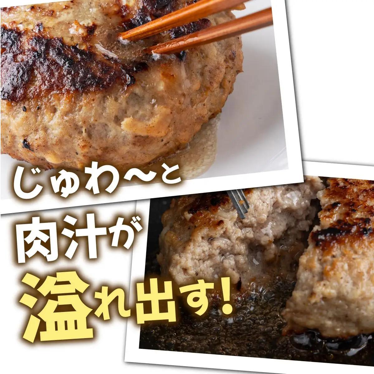 佐賀牛入り生ハンバーグ120g×24個  FN-Limited-VO