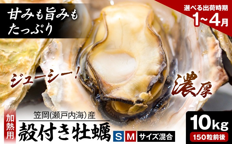 笠岡産 (瀬戸内海産) 殻付き牡蠣 (加熱用) S・Mサイズ混合 10kg 150粒前後《出荷時期が選べる》1月 2月 3月 4月 岡山県 笠岡市 かき カキ 牡蠣 生牡蠣 瀬戸内海産 殻付き---K-47---