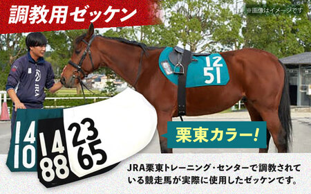 調教ゼッケン＋騎手サイン色紙セット