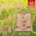 【ふるさと納税】令和6年産 千葉県産「ふさこがね」玄米30kg（30kg×1袋） ふるさと納税 玄米 30kg 千葉県産 大網白里市 ふさこがね 米 こめ 送料無料 A013