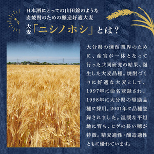 西の星 パック 20度(計10.8L・1.8L×6本)酒 お酒 むぎ焼酎 1800ml 麦焼酎 西の星 常温 三和酒類 紙パック【104304100】【山添産業】