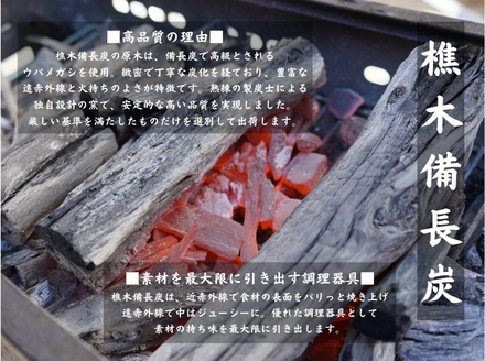 【徳島県産】美波町の森が育んだ「樵木（こりき）備長炭」で焼き上げる。外はパリッ、中はふっくら。職人手焼きの極上うなぎ（大きめ2尾）ふるさと納税 うなぎ 鰻 蒲焼 国産 徳島県 美波町 炭火焼 備長炭 