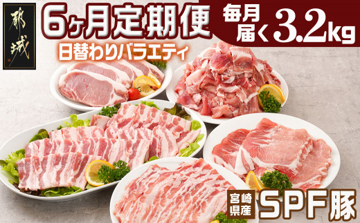 
                  ≪6回連続お届け≫「宮崎SPF豚」日替わりバラエティセット定期便_T96-6-K901_(都城市) 宮崎県産豚 小間切れ ロース 肩ローススライス バラ ステーキ 焼肉 しゃぶしゃぶ 真空
                
