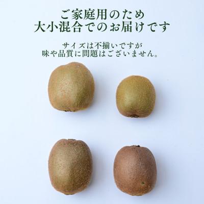 ふるさと納税 上島町 ご家庭用キウイフルーツ 2.5kg |  | 01