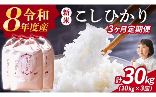
                  《 令和8年産 》 全3回 定期便 桜川市産 こしひかり 10kg × 3回 新米 先行予約 3ヶ月 茨城県 桜川市 米 お米 白米 コメ ごはん 精米 コシヒカリ 国産 限定 銘柄米 [SC053sa]
                