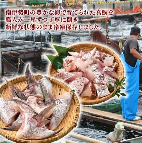 【冷凍】 鯛カマ こま切れ 真鯛 セット 