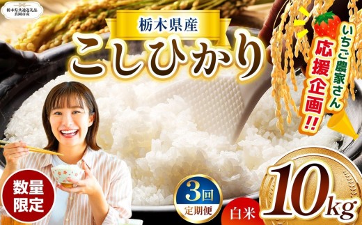 【栃木県共通返礼品】【先行予約】【定期3回】数量 限定 訳あり 定期便 令和8年度 栃木県産 コシヒカリ 約 10kg | 数量限定 こしひかり 精米 白米 米 ごはん おいしい okome kome お米 コシヒカリ ふるさと納税 那珂川町 栃木県