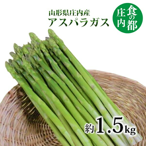 【ふるさと納税】食の都庄内　庄内産アスパラガス　約1.5kg　（マルショウ青果有限会社）