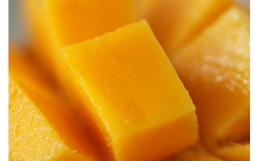 ★品切れ★《先行予約》沖縄県宮古島産 減農薬栽培 キーツマンゴー甘濃（かんのう）2玉【琉球マルシェ】