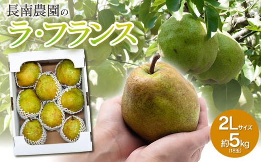 【令和7年産】ラ・フランス 2Lサイズ 約5kg（18玉）　山形県鶴岡市産 （2025年11月13日頃～発送） 長南農園