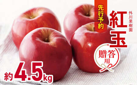 *【2025年先行予約】贈答用 紅玉 約 4.5kg ｜ 外川果樹園  リンゴ りんご 林檎 果物 フルーツ 果実 果汁 紅玉 こうぎょく ギフト 贈答用 長野県 松川村 