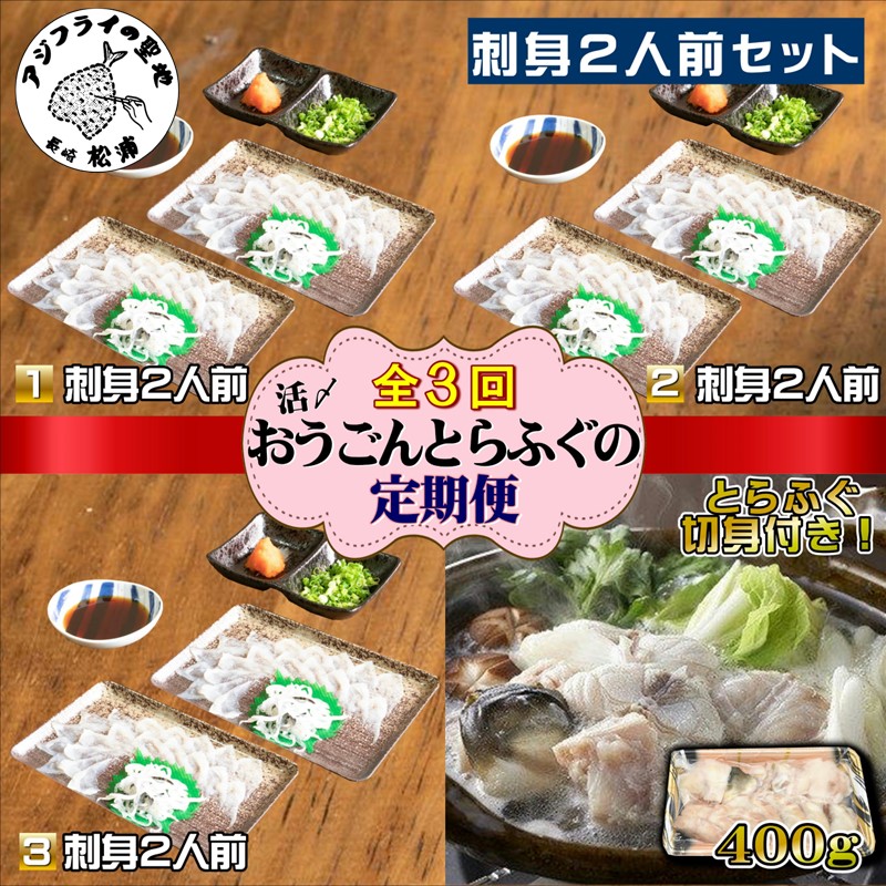 【全3回定期便】活〆おうごんとらふぐ刺身2人前セット【G0-009】 3回目鍋用切身400g付 定期便 とらふぐ 鍋用 切り身 刺身 九州 長崎県 松浦市