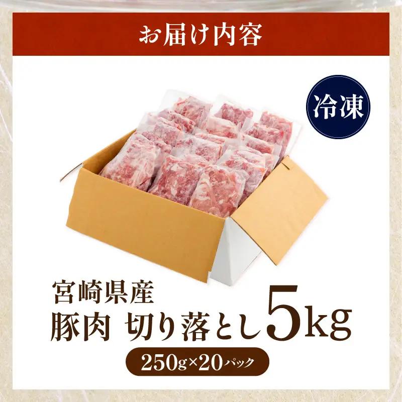 豚肉 宮崎県産 切り落とし 5kg 豚肉[250g×20P]