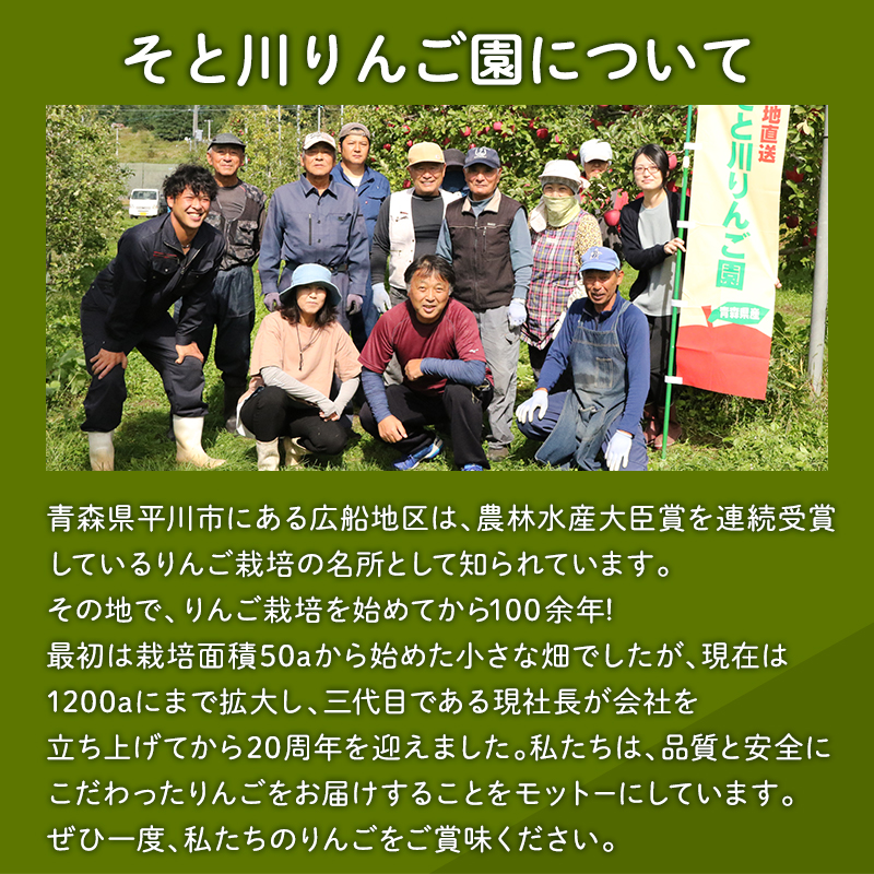 2027年1～3月発送　【訳あり】家庭用美丘5kg【青森県 平川市 そと川りんご園】