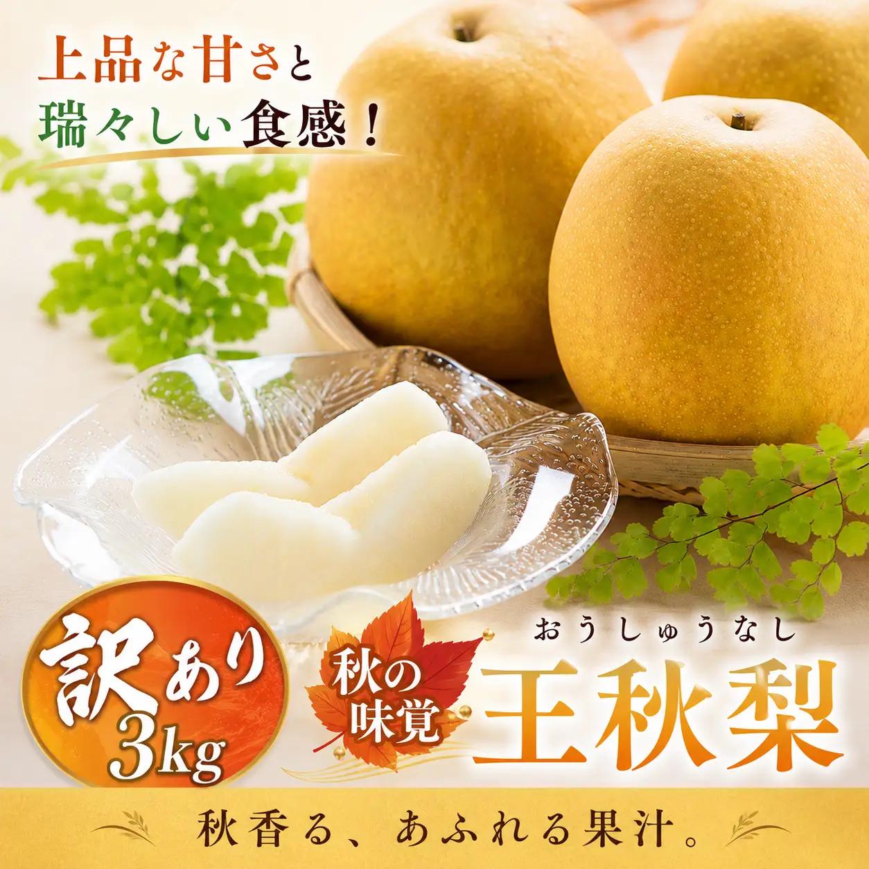 Y1068 【訳あり】王秋梨 3kg