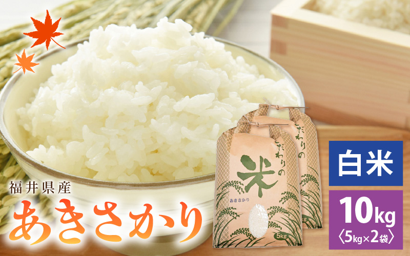 令和7年産 あきさかり 10kg 福井県産 コシヒカリ系統品種【白米】【お米 アキサカリ 10キロ】 [e30-b019]