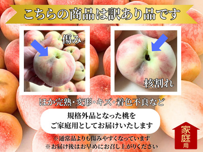 【訳あり】山梨県産旬の桃 約3kg（8～12玉）【2025年発送】（LKS）A08-851【桃 もも モモ ピーチ 令和7年発送 期間限定 山梨県産 甲州市 フルーツ 果物】