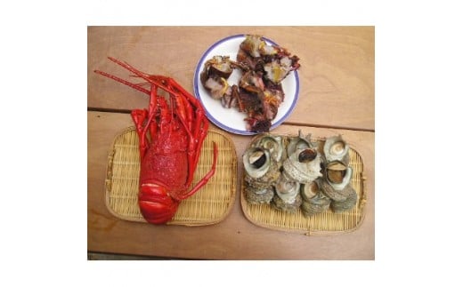＜伊豆の恵み4品(3種)　Fセット＞ボイルサザエ・味噌汁用カット伊勢海老・蒸し伊勢海老