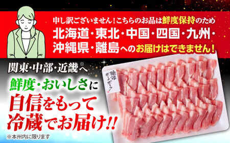 ※冷蔵配送/地域限定※ 瑞浪ボーノポーク 豚肉 焼肉セット 1kg (バラ・肩ロース)  きなぁた瑞浪 [AZCI021] 豚肉焼肉