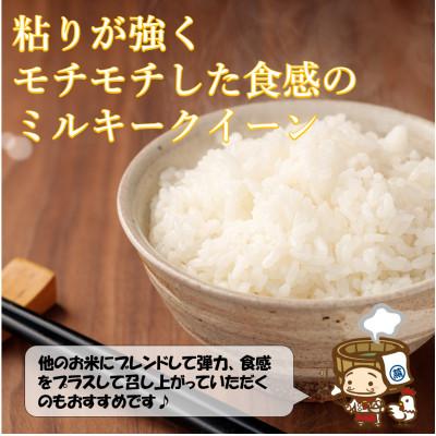 ふるさと納税 あわら市 【令和7年産】ミルキークイーン 精米 5kg《お米マイスターが発送直前に精米!》 |  | 01
