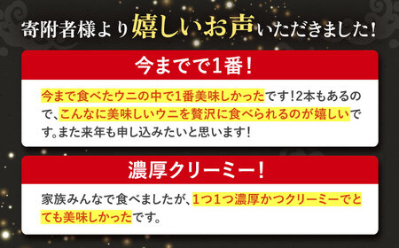 壱岐産 濃厚 ウニ 60g ×2本《壱岐市》【合同会社塚元】ムラサキウニ 海産物 海鮮 うに 雲丹 珍味 [JDR022] 34000 34000円  コダワリうに・ウニ こだわりうに・ウニ おすすめ